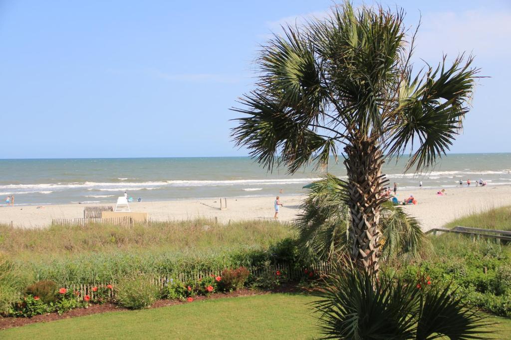 Jade Tree Cove Hotel Myrtle Beach Luaran gambar